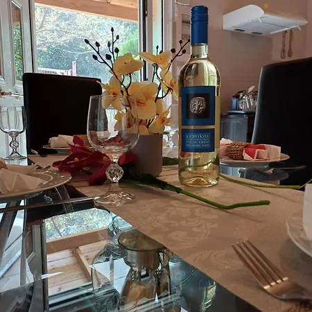 Διαμέρισμα Andrea's House