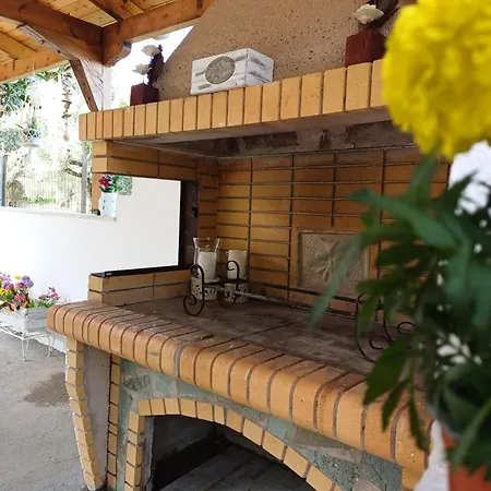 Andrea's House